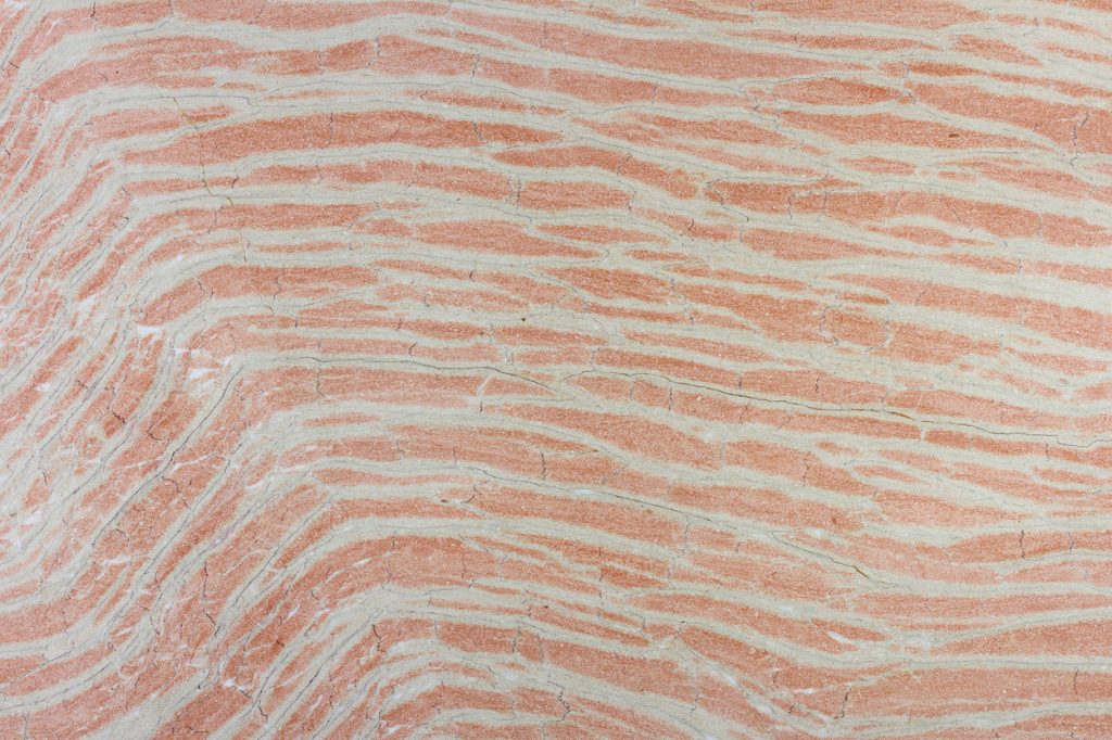 Zebra Pink